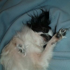 Meet your Posher, Diane